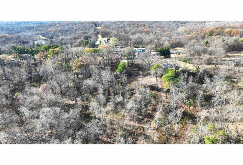 MUNFORD GILTEDGE RD, Burlison, Tennessee 38015, 0 , 0 ,0,Land,For Sale,MUNFORD GILTEDGE,0,10224682