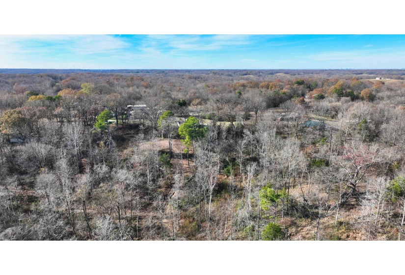 MUNFORD GILTEDGE RD, Burlison, Tennessee 38015, 0 , 0 ,0,Land,For Sale,MUNFORD GILTEDGE,0,10224682
