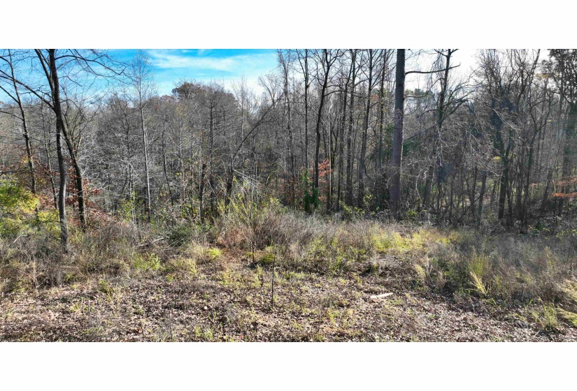 MUNFORD GILTEDGE RD, Burlison, Tennessee 38015, 0 , 0 ,0,Land,For Sale,MUNFORD GILTEDGE,0,10224682