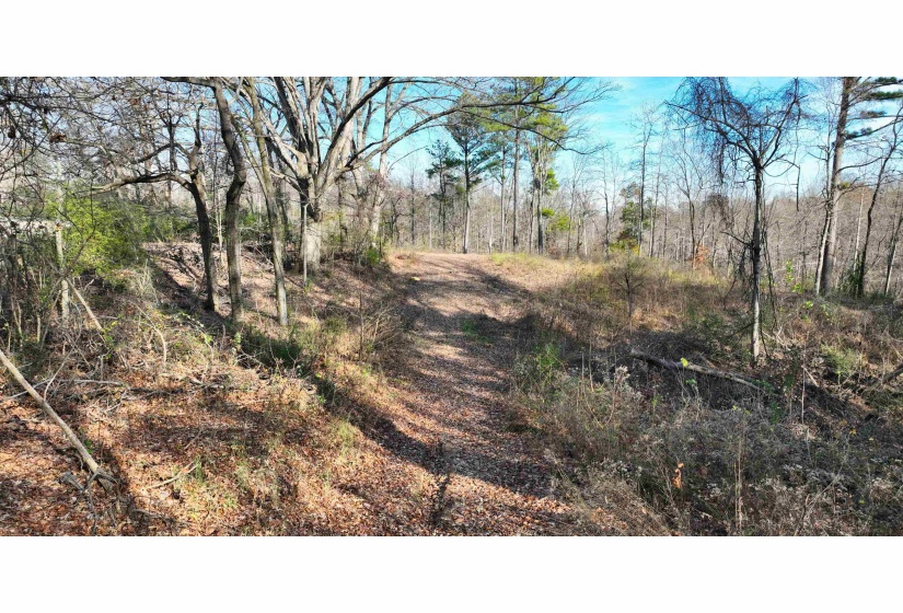MUNFORD GILTEDGE RD, Burlison, Tennessee 38015, 0 , 0 ,0,Land,For Sale,MUNFORD GILTEDGE,0,10224682