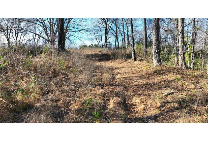 MUNFORD GILTEDGE RD, Burlison, Tennessee 38015, 0 , 0 ,0,Land,For Sale,MUNFORD GILTEDGE,0,10224682