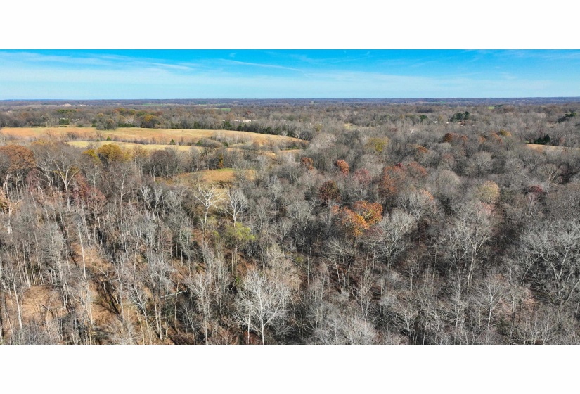 MUNFORD GILTEDGE RD, Burlison, Tennessee 38015, 0 , 0 ,0,Land,For Sale,MUNFORD GILTEDGE,0,10224682