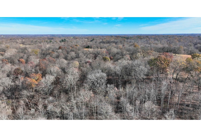 MUNFORD GILTEDGE RD, Burlison, Tennessee 38015, 0 , 0 ,0,Land,For Sale,MUNFORD GILTEDGE,0,10224682