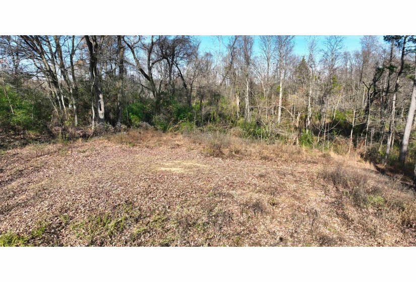 MUNFORD GILTEDGE RD, Burlison, Tennessee 38015, 0 , 0 ,0,Land,For Sale,MUNFORD GILTEDGE,0,10224682