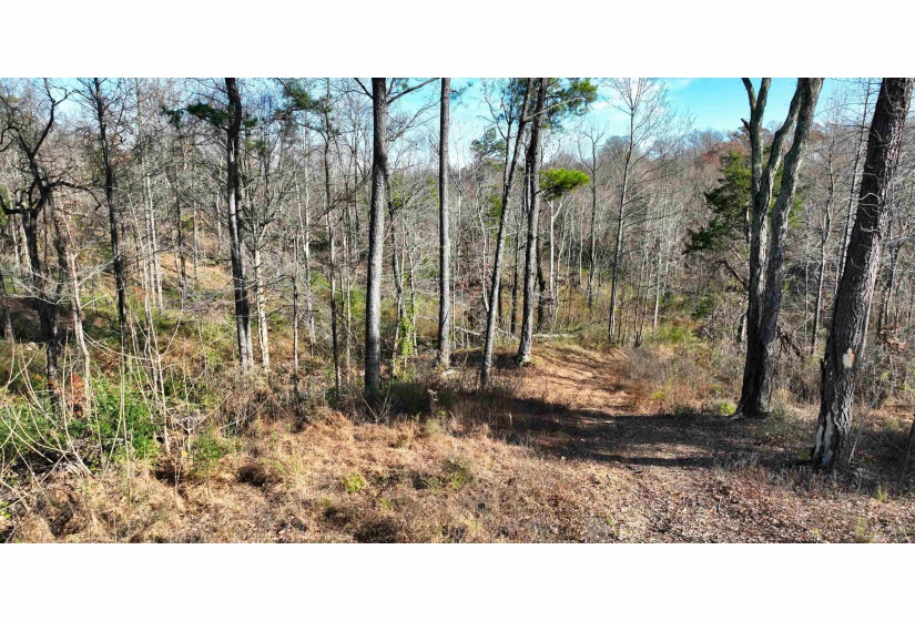 MUNFORD GILTEDGE RD, Burlison, Tennessee 38015, 0 , 0 ,0,Land,For Sale,MUNFORD GILTEDGE,0,10224682