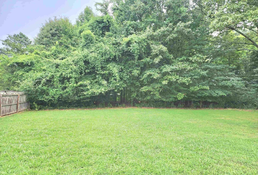 5435 HAYES RD, Arlington, Tennessee 38002, 3 Bedroom Bedrooms, 5 Room Rooms,1 BathroomBathrooms,Residential,For Sale,HAYES,0,10226975