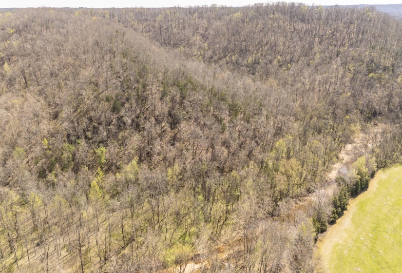 00 CLIFTON TURNPIKE RD, Waynesboro, Tennessee 38485, 0 , 0 ,0,Land,For Sale,CLIFTON TURNPIKE,0,10228636