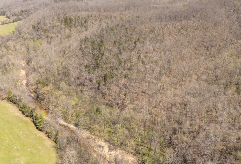 00 CLIFTON TURNPIKE RD, Waynesboro, Tennessee 38485, 0 , 0 ,0,Land,For Sale,CLIFTON TURNPIKE,0,10228636