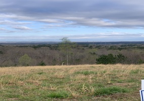 TURKEY KNOB RD, Counce, Tennessee 38326, 0 , 0 ,0,Land,For Sale,TURKEY KNOB,0,10228642 TURKEY KNOB RD, Counce, Tennessee 38326, 0 , 0 ,0,Land,For Sale,TURKEY KNOB,0,10228642