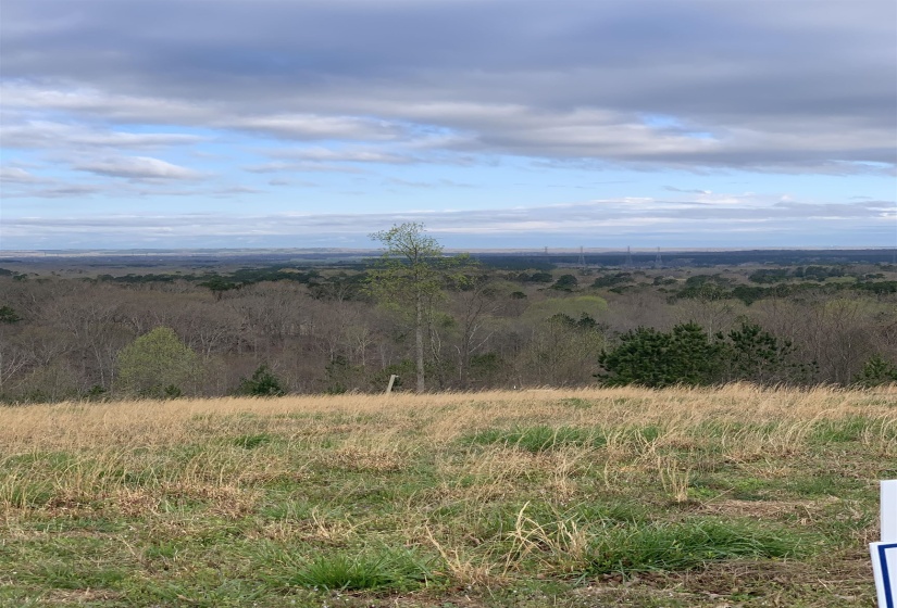 TURKEY KNOB RD, Counce, Tennessee 38326, 0 , 0 ,0,Land,For Sale,TURKEY KNOB,0,10228642
