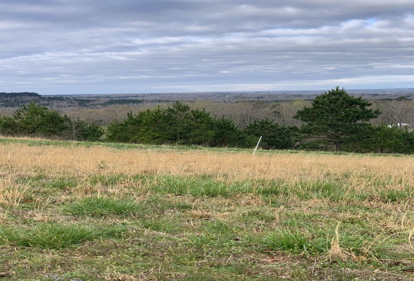 TURKEY KNOB RD, Counce, Tennessee 38326, 0 , 0 ,0,Land,For Sale,TURKEY KNOB,0,10228642