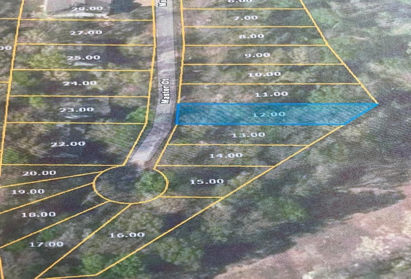 0 MASTERS CT, Counce, Tennessee 38326, 0 , 0 ,0,Land,For Sale,MASTERS,0,10228643