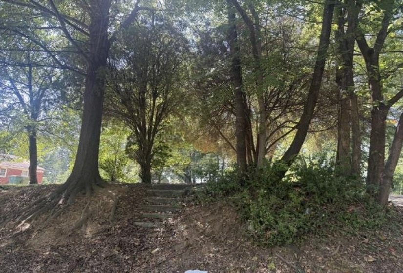 1515 PRESTON ST, Memphis, Tennessee 38106, 0 , 0 ,0,Land,For Sale,PRESTON,0,10228659