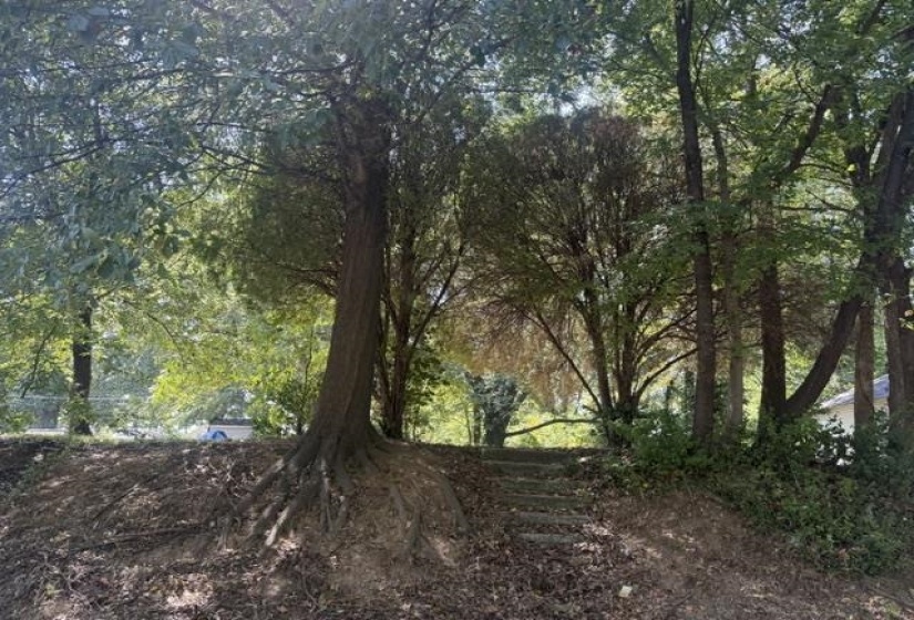 1515 PRESTON ST, Memphis, Tennessee 38106, 0 , 0 ,0,Land,For Sale,PRESTON,0,10228659