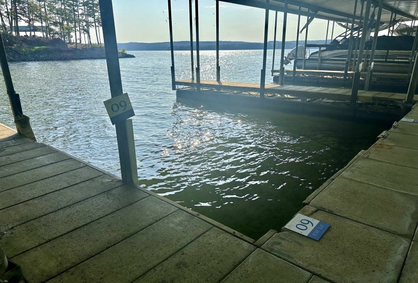 165 LAKESHORE LN, Counce, Tennessee 38326, 0 , 0 ,0,Multi-family,For Sale,LAKESHORE,0,10228669