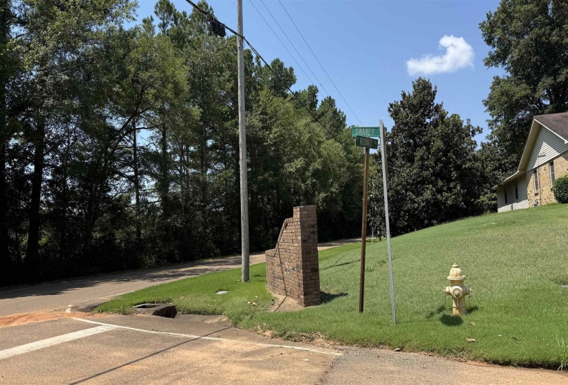 595 SWANEY DR, Holly Springs, Mississippi 38635, 3 Bedroom Bedrooms, 7 Room Rooms,3 BathroomBathrooms,Residential,For Sale,SWANEY,0,10206582