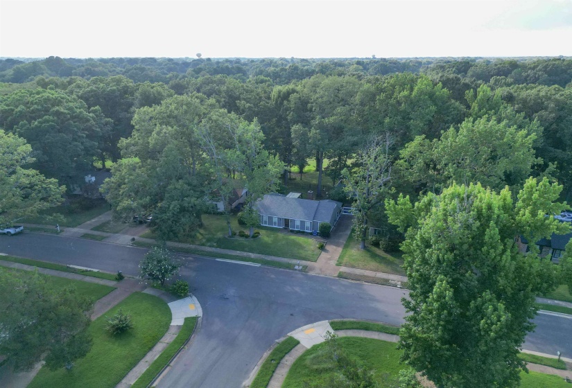 9156 GAINSBOROUGH DR, Lakeland, Tennessee 38002, 3 Bedroom Bedrooms, 3 Room Rooms,2 BathroomBathrooms,Residential,For Sale,GAINSBOROUGH,0,10226019