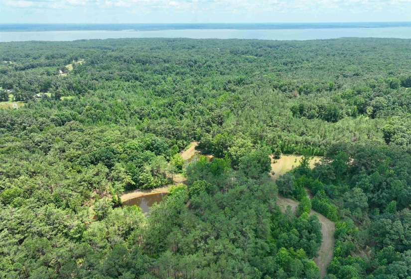 241 MISSISSIPPI 310 RD, Waterford, Mississippi 38685, 2 Bedroom Bedrooms, 7 Room Rooms,2 BathroomBathrooms,Residential,For Sale,MISSISSIPPI 310,0,10228446