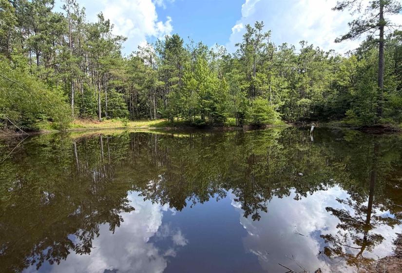 241 MISSISSIPPI 310 RD, Waterford, Mississippi 38685, 2 Bedroom Bedrooms, 7 Room Rooms,2 BathroomBathrooms,Residential,For Sale,MISSISSIPPI 310,0,10228446