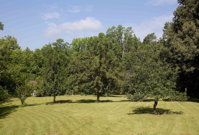 241 MISSISSIPPI 310 RD, Waterford, Mississippi 38685, 2 Bedroom Bedrooms, 7 Room Rooms,2 BathroomBathrooms,Residential,For Sale,MISSISSIPPI 310,0,10228446
