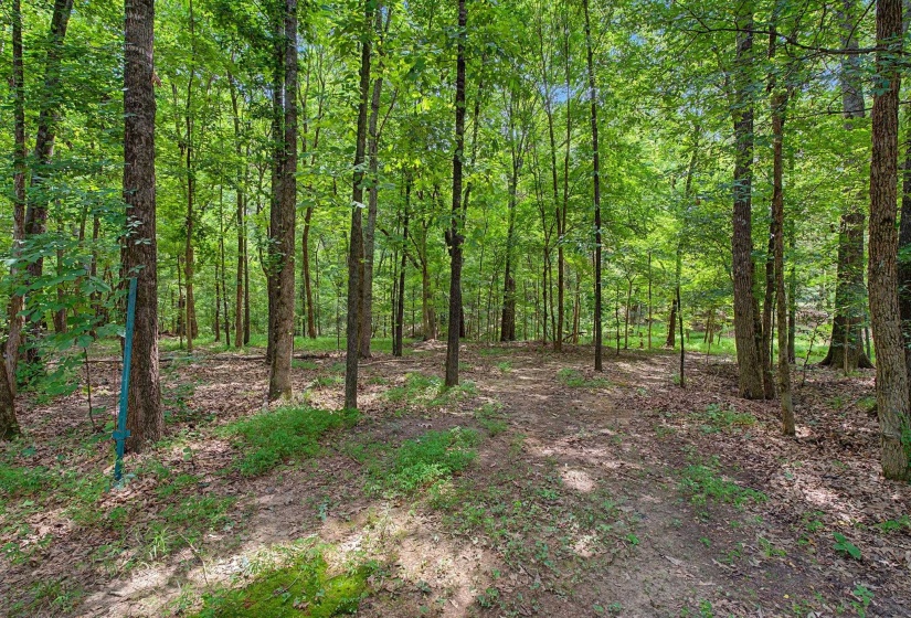 6648 LONG RD, Arlington, Tennessee 38002, 4 Bedroom Bedrooms, 7 Room Rooms,2 BathroomBathrooms,Residential,For Sale,LONG,0,10228527