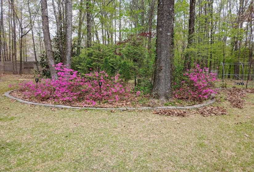 6648 LONG RD, Arlington, Tennessee 38002, 4 Bedroom Bedrooms, 7 Room Rooms,2 BathroomBathrooms,Residential,For Sale,LONG,0,10228527