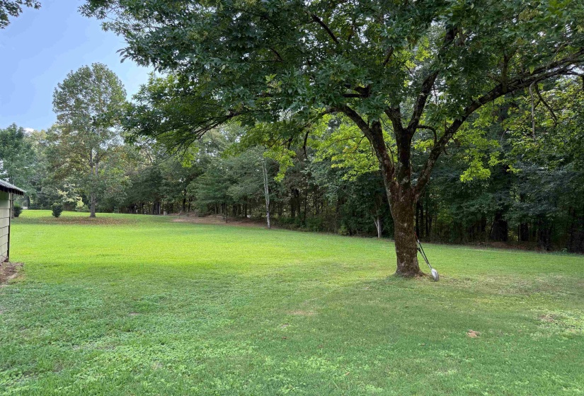 2966 HILLVILLE LOOP, Whiteville, Tennessee 38075-6462, 2 Bedroom Bedrooms, 6 Room Rooms,1 BathroomBathrooms,Residential,For Sale,HILLVILLE,0,10228566