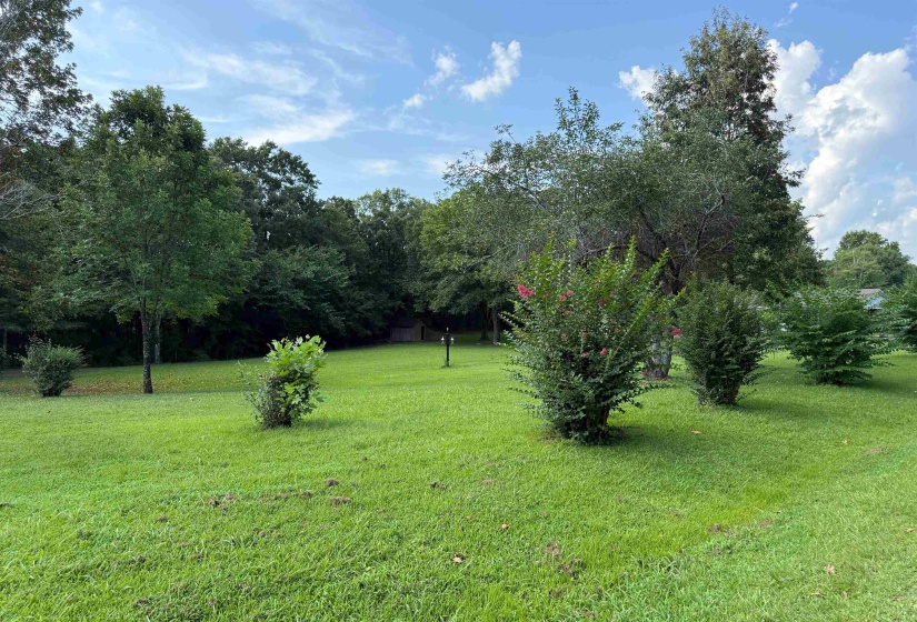 2966 HILLVILLE LOOP, Whiteville, Tennessee 38075-6462, 2 Bedroom Bedrooms, 6 Room Rooms,1 BathroomBathrooms,Residential,For Sale,HILLVILLE,0,10228566
