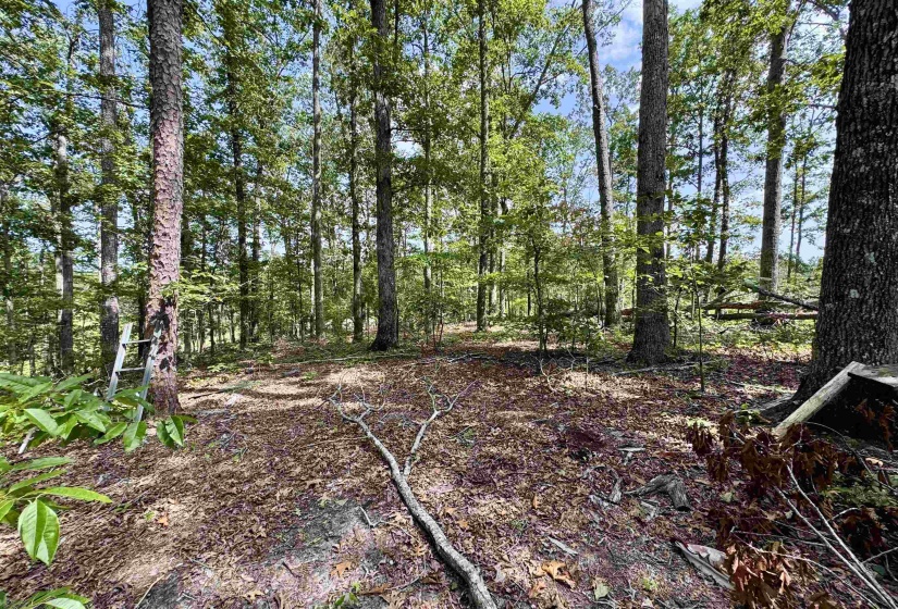 1550 COUNTY HOME RD, Savannah, Tennessee 38372, 3 Bedroom Bedrooms, 7 Room Rooms,1 BathroomBathrooms,Residential,For Sale,COUNTY HOME,0,10228619