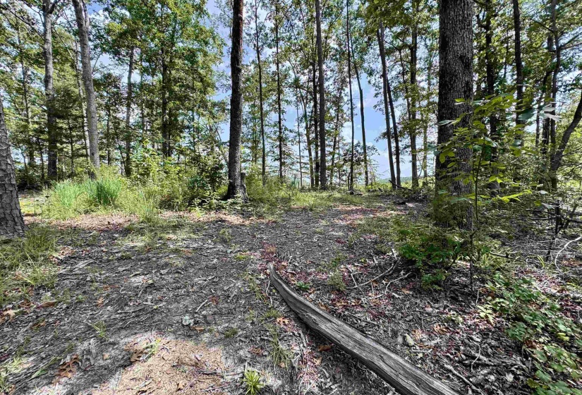 1550 COUNTY HOME RD, Savannah, Tennessee 38372, 3 Bedroom Bedrooms, 7 Room Rooms,1 BathroomBathrooms,Residential,For Sale,COUNTY HOME,0,10228619