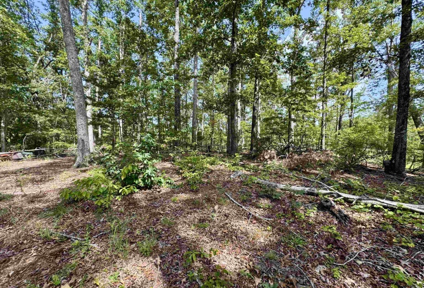 1550 COUNTY HOME RD, Savannah, Tennessee 38372, 3 Bedroom Bedrooms, 7 Room Rooms,1 BathroomBathrooms,Residential,For Sale,COUNTY HOME,0,10228619