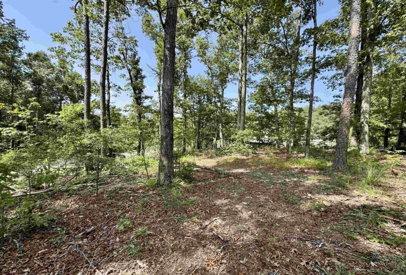 1550 COUNTY HOME RD, Savannah, Tennessee 38372, 3 Bedroom Bedrooms, 7 Room Rooms,1 BathroomBathrooms,Residential,For Sale,COUNTY HOME,0,10228619