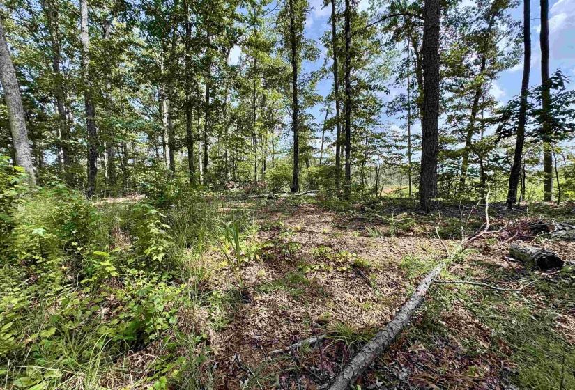 1550 COUNTY HOME RD, Savannah, Tennessee 38372, 3 Bedroom Bedrooms, 7 Room Rooms,1 BathroomBathrooms,Residential,For Sale,COUNTY HOME,0,10228619