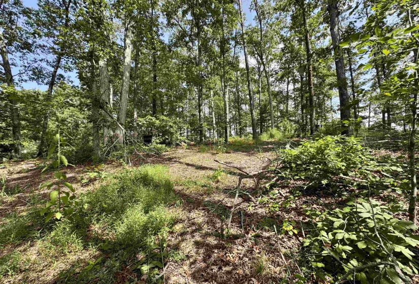 1550 COUNTY HOME RD, Savannah, Tennessee 38372, 3 Bedroom Bedrooms, 7 Room Rooms,1 BathroomBathrooms,Residential,For Sale,COUNTY HOME,0,10228619