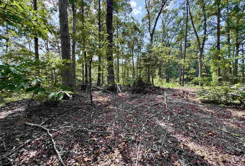 1550 COUNTY HOME RD, Savannah, Tennessee 38372, 3 Bedroom Bedrooms, 7 Room Rooms,1 BathroomBathrooms,Residential,For Sale,COUNTY HOME,0,10228619