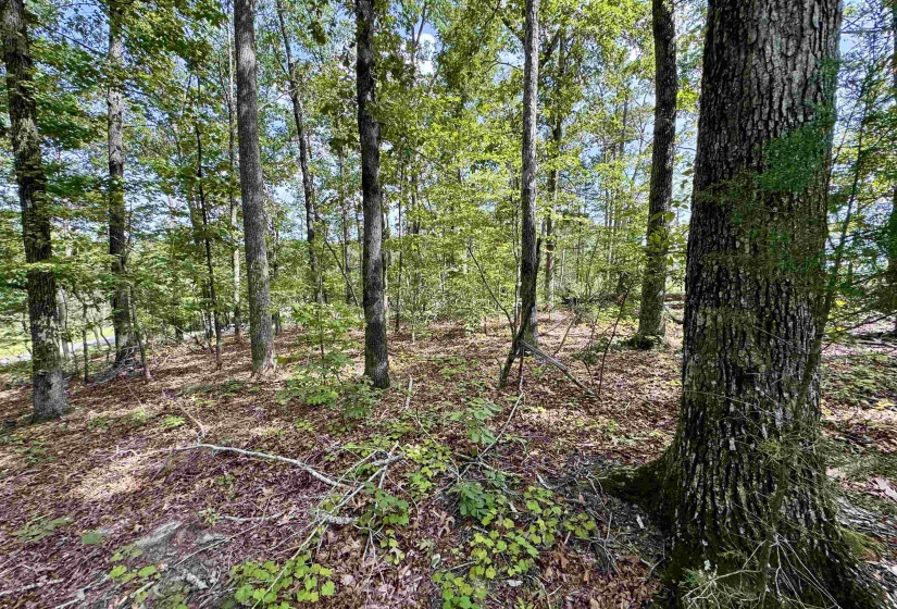 1550 COUNTY HOME RD, Savannah, Tennessee 38372, 3 Bedroom Bedrooms, 7 Room Rooms,1 BathroomBathrooms,Residential,For Sale,COUNTY HOME,0,10228619