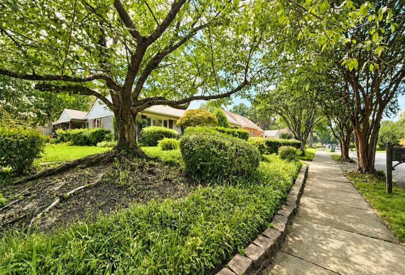 5179 PEG LN, Memphis, Tennessee 38117, 3 Bedroom Bedrooms, 7 Room Rooms,2 BathroomBathrooms,Residential,For Sale,PEG,0,10228662