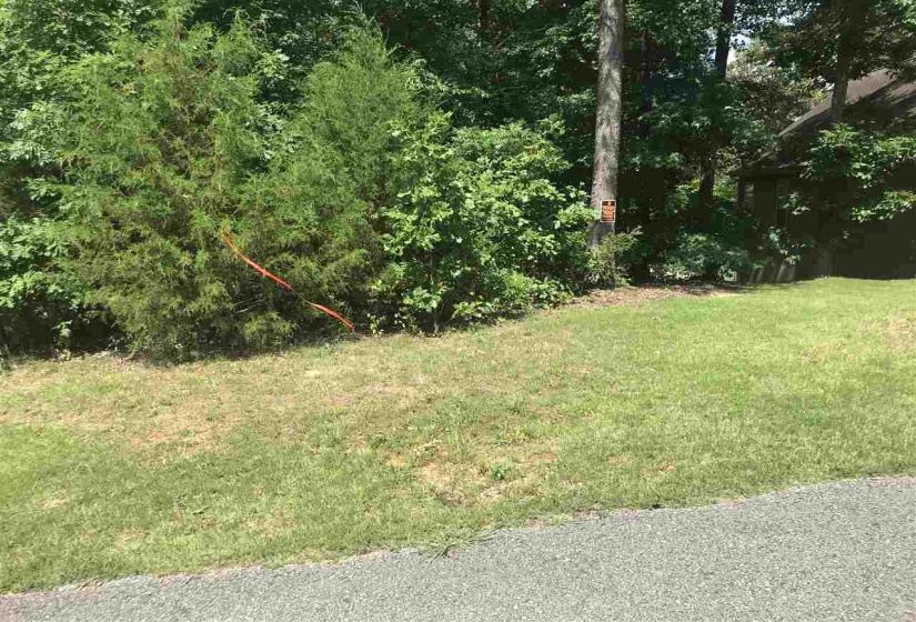 VANTAGE PT, Counce, Tennessee 38326, 0 , 0 ,0,Land,For Sale,VANTAGE,0,10228723