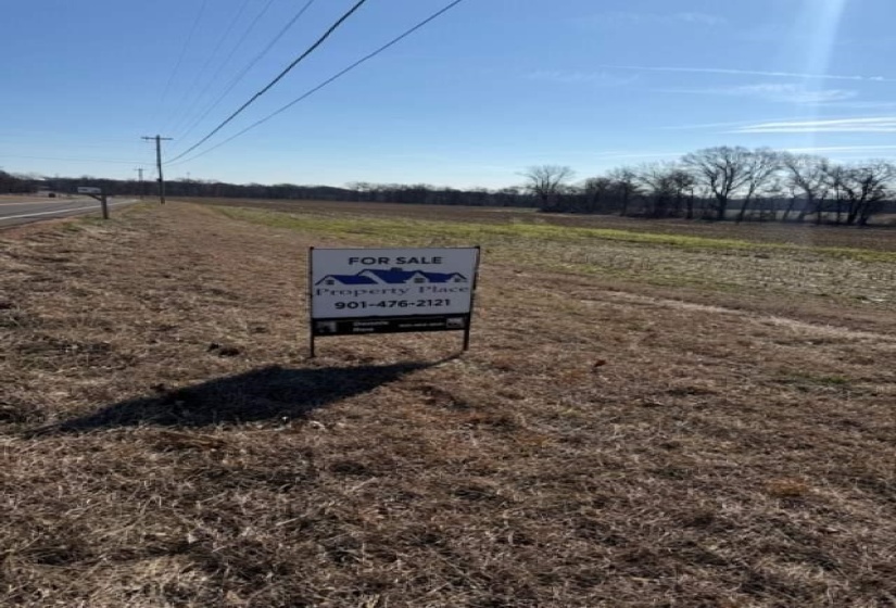 HWY 54 HWY, Covington, Tennessee 38019, 0 , 0 ,0,Land,For Sale,HWY 54,0,10228729