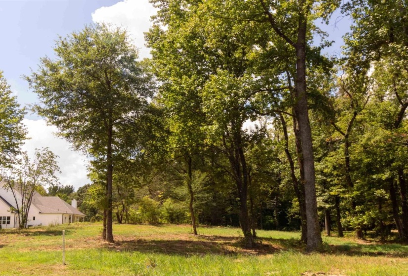 50 CROWN VISTA LN, Piperton, Tennessee 38017, 0 , 0 ,0,Land,For Sale,CROWN VISTA,0,10228737