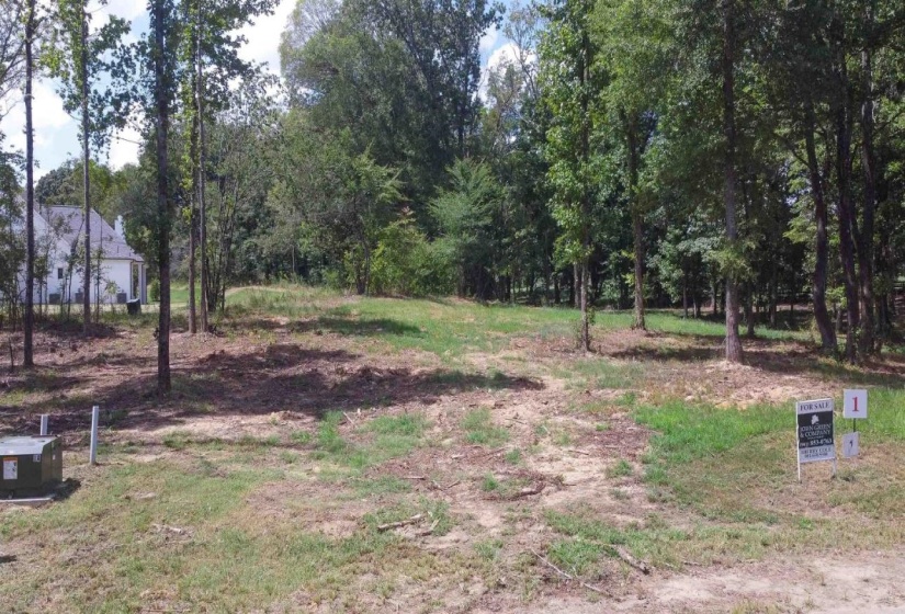 50 CROWN VISTA LN, Piperton, Tennessee 38017, 0 , 0 ,0,Land,For Sale,CROWN VISTA,0,10228737
