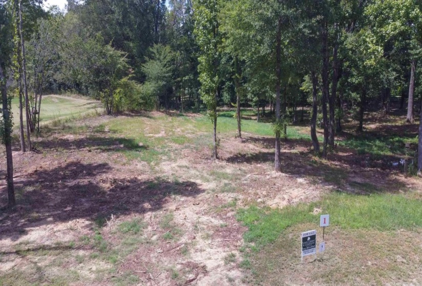 50 CROWN VISTA LN, Piperton, Tennessee 38017, 0 , 0 ,0,Land,For Sale,CROWN VISTA,0,10228737