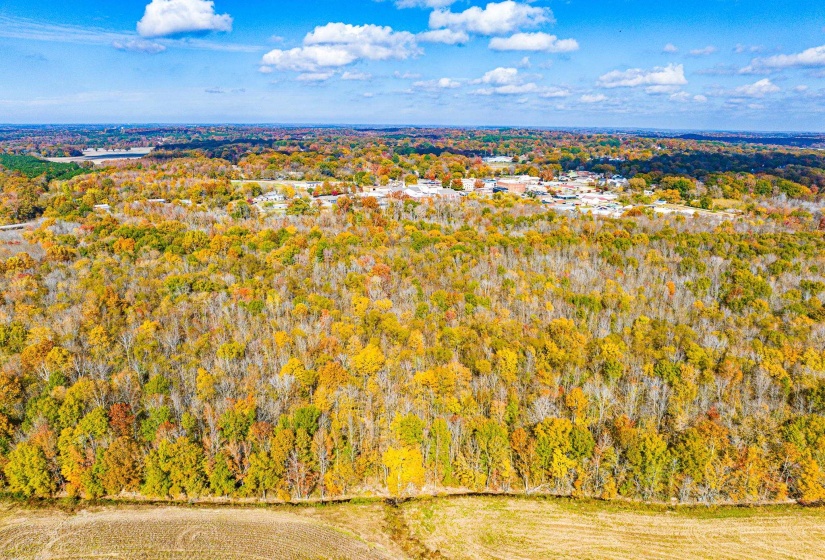 0 LEXINGTON ST, Huntingdon, Tennessee 38344, 0 , 0 ,0,Land,For Sale,LEXINGTON,0,10228787