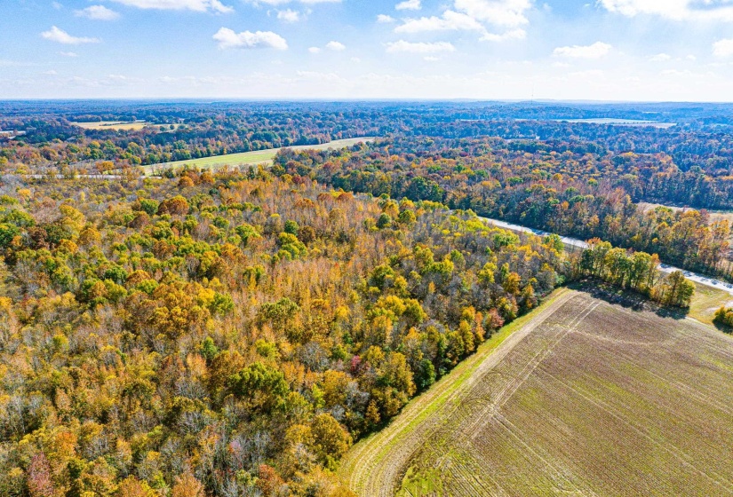 0 LEXINGTON ST, Huntingdon, Tennessee 38344, 0 , 0 ,0,Land,For Sale,LEXINGTON,0,10228787