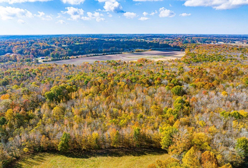 0 LEXINGTON ST, Huntingdon, Tennessee 38344, 0 , 0 ,0,Land,For Sale,LEXINGTON,0,10228787