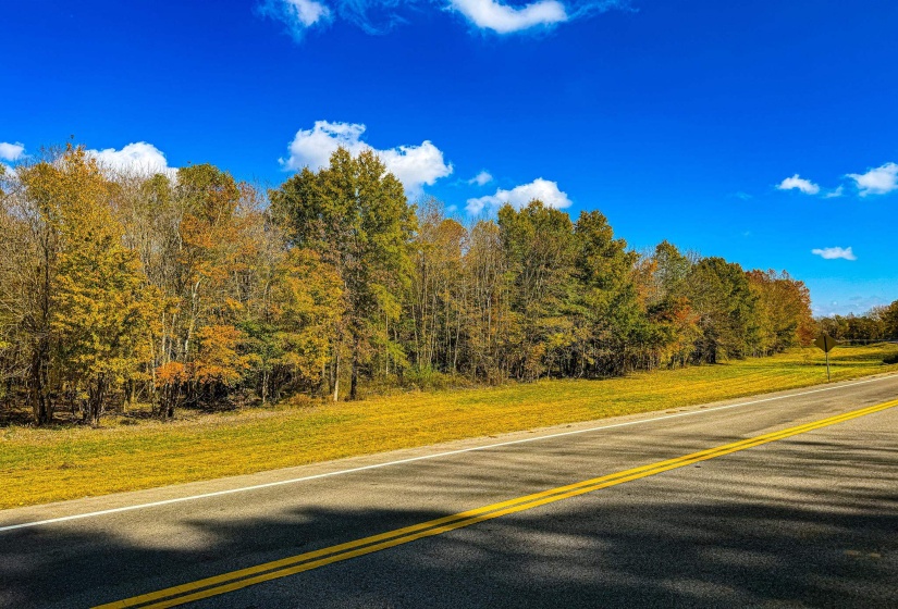 0 LEXINGTON ST, Huntingdon, Tennessee 38344, 0 , 0 ,0,Land,For Sale,LEXINGTON,0,10228787