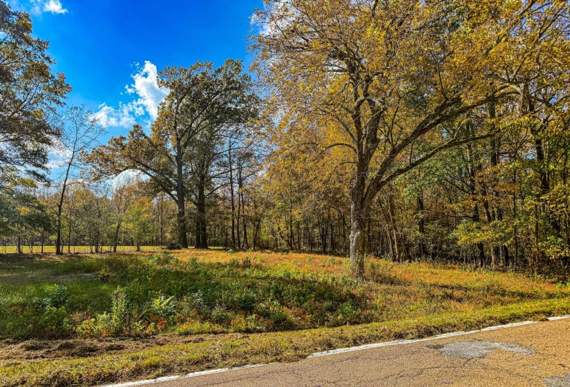 0 LEXINGTON ST, Huntingdon, Tennessee 38344, 0 , 0 ,0,Land,For Sale,LEXINGTON,0,10228787