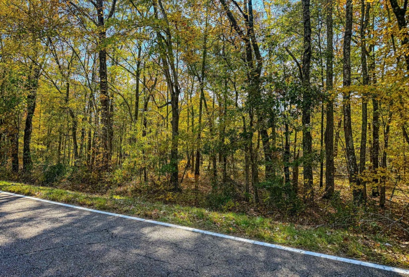 0 LEXINGTON ST, Huntingdon, Tennessee 38344, 0 , 0 ,0,Land,For Sale,LEXINGTON,0,10228787