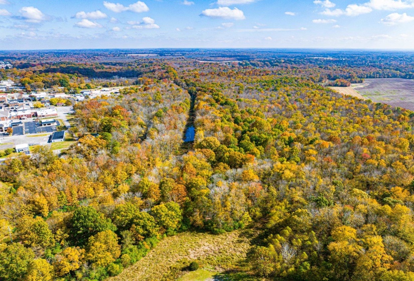 0 LEXINGTON ST, Huntingdon, Tennessee 38344, 0 , 0 ,0,Land,For Sale,LEXINGTON,0,10228787