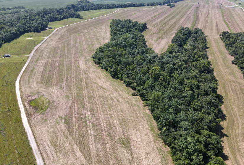 0 DECLAN LN, Savannah, Tennessee 38372, 0 , 0 ,0,Land,For Sale,DECLAN,0,10228818